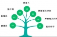 【重点学科】潍坊市级医疗卫生重点学（专）科肿瘤科