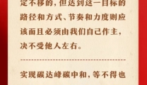 习近平总书记深刻阐述推进生态文明建设需要处理好的几个重大关系（五）：“双碳”承诺和自主行动的关系