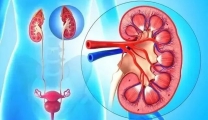 【技术之窗】腹腔镜微创手术治疗肾上腺源性高血压
